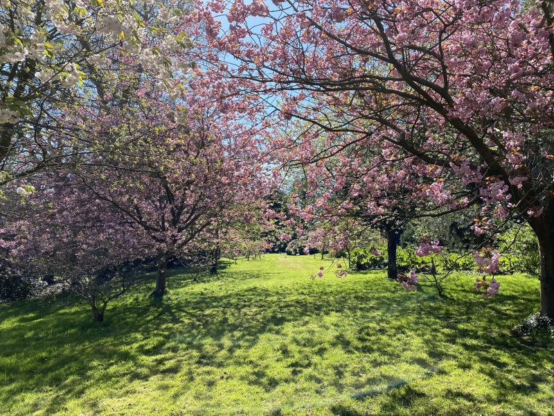 Brook Hall Estate & Gardens